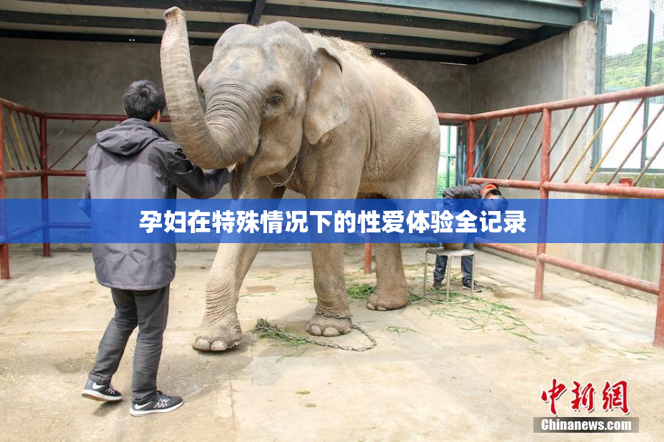 孕妇在特殊情况下的性爱体验全记录