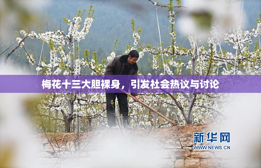 梅花十三大胆裸身，引发社会热议与讨论