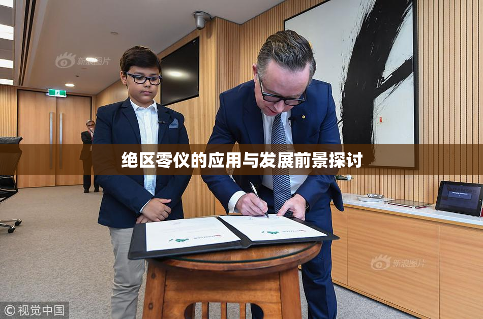 绝区零仪的应用与发展前景探讨