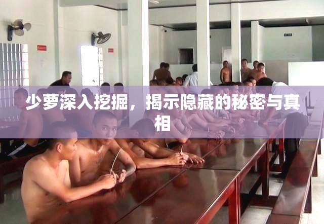少萝深入挖掘，揭示隐藏的秘密与真相