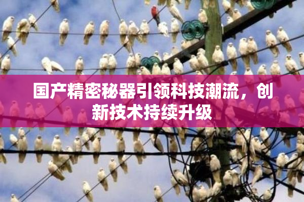 国产精密秘器引领科技潮流，创新技术持续升级