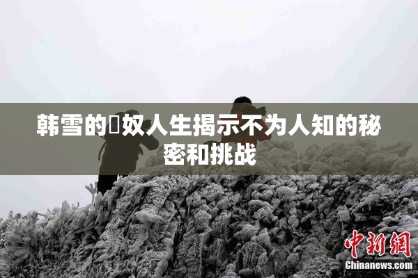 韩雪的婬奴人生揭示不为人知的秘密和挑战