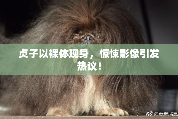 贞子以裸体现身，惊悚影像引发热议！