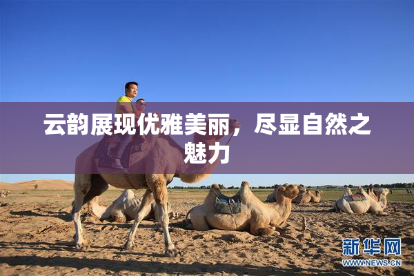 云韵展现优雅美丽，尽显自然之魅力