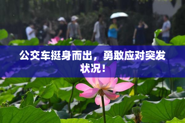 公交车挺身而出，勇敢应对突发状况！
