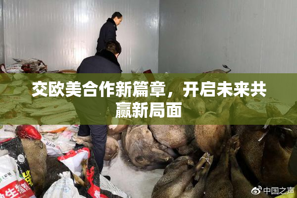 交欧美合作新篇章，开启未来共赢新局面