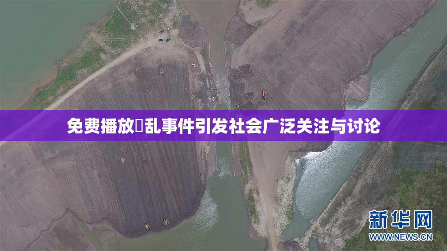 免费播放婬乱事件引发社会广泛关注与讨论