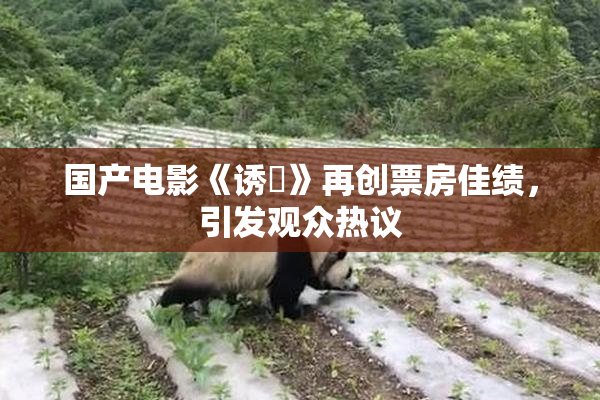国产电影《诱奷》再创票房佳绩，引发观众热议