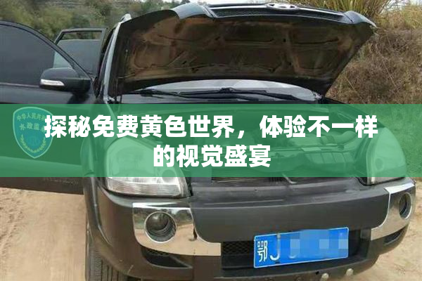 探秘免费黄色世界，体验不一样的视觉盛宴