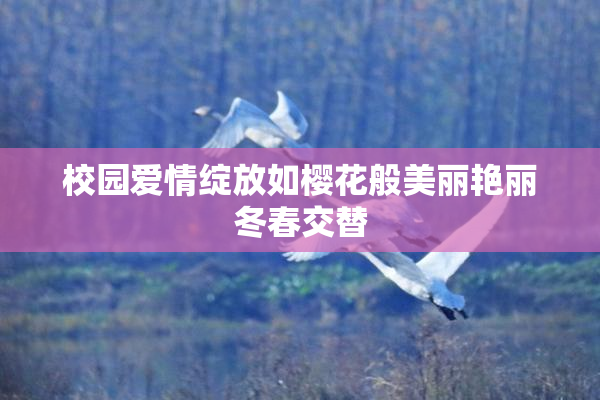 校园爱情绽放如樱花般美丽艳丽冬春交替