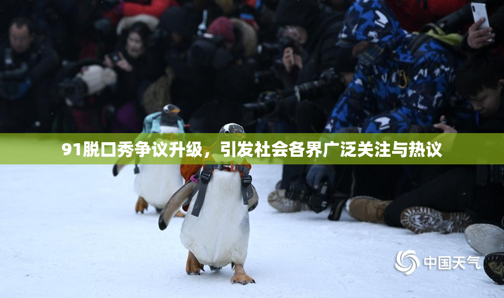 91脱口秀争议升级，引发社会各界广泛关注与热议