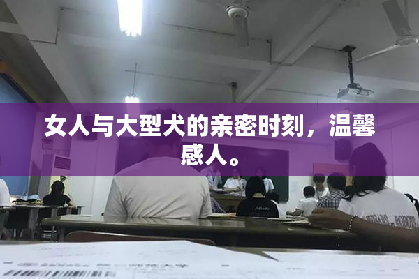 女人与大型犬的亲密时刻，温馨感人。
