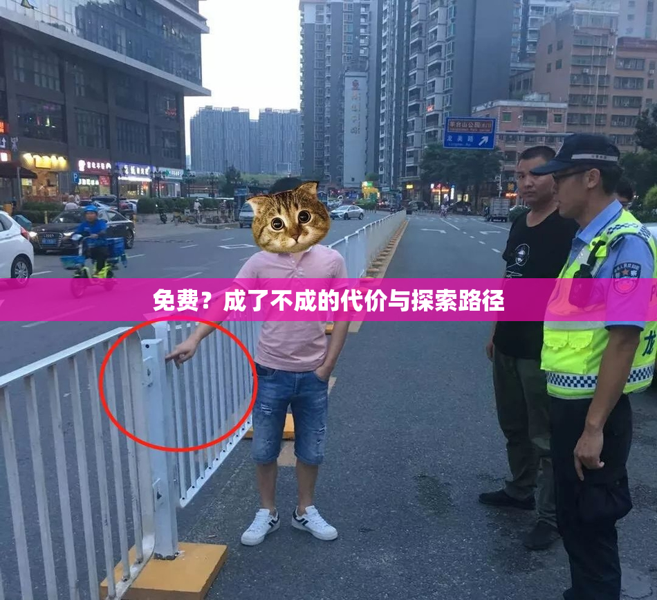 免费？成了不成的代价与探索路径