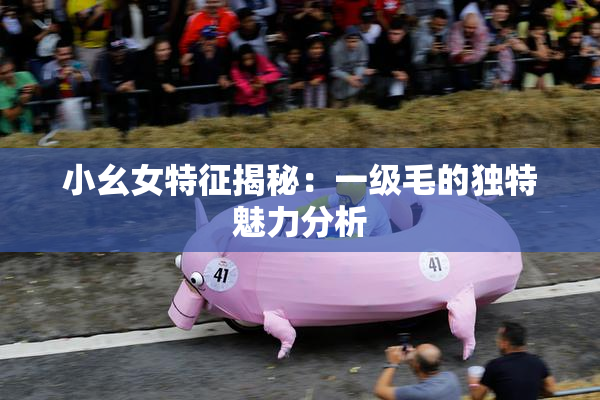 小幺女特征揭秘：一级毛的独特魅力分析