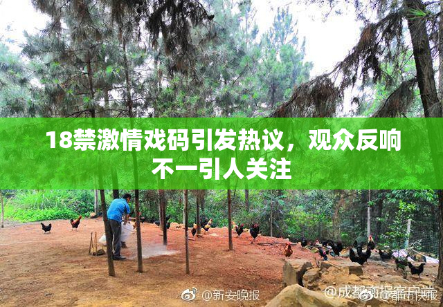 18禁激情戏码引发热议，观众反响不一引人关注