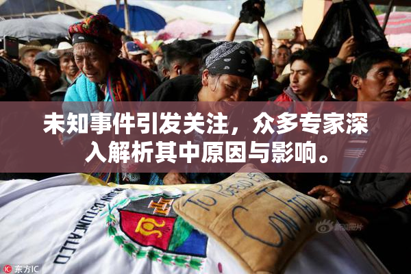 未知事件引发关注，众多专家深入解析其中原因与影响。