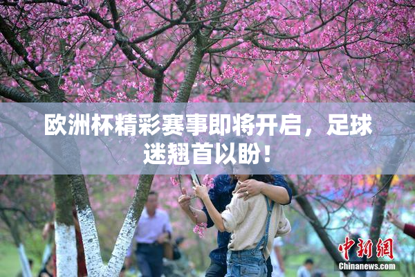 欧洲杯精彩赛事即将开启，足球迷翘首以盼！