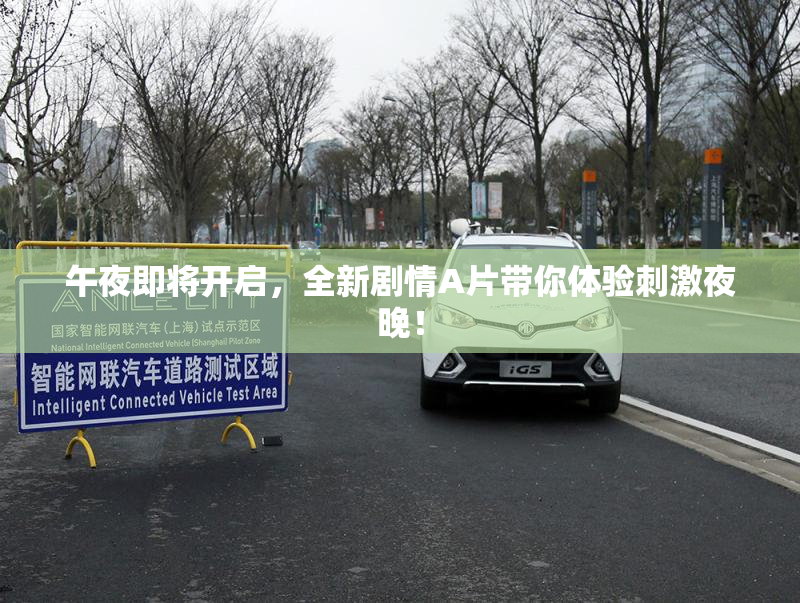 午夜即将开启，全新剧情A片带你体验刺激夜晚！