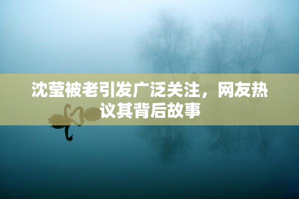 沈莹被老引发广泛关注，网友热议其背后故事