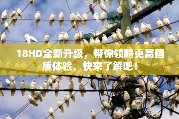 18HD全新升级，带你领略更高画质体验，快来了解吧！