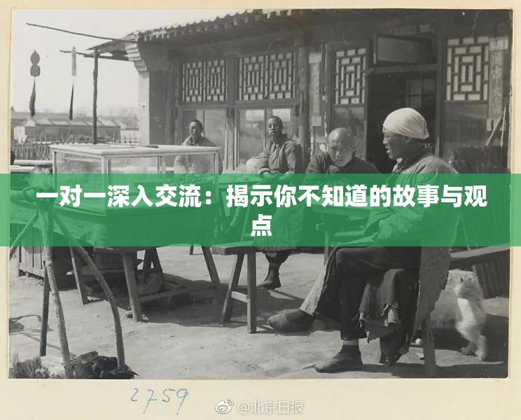 一对一深入交流：揭示你不知道的故事与观点