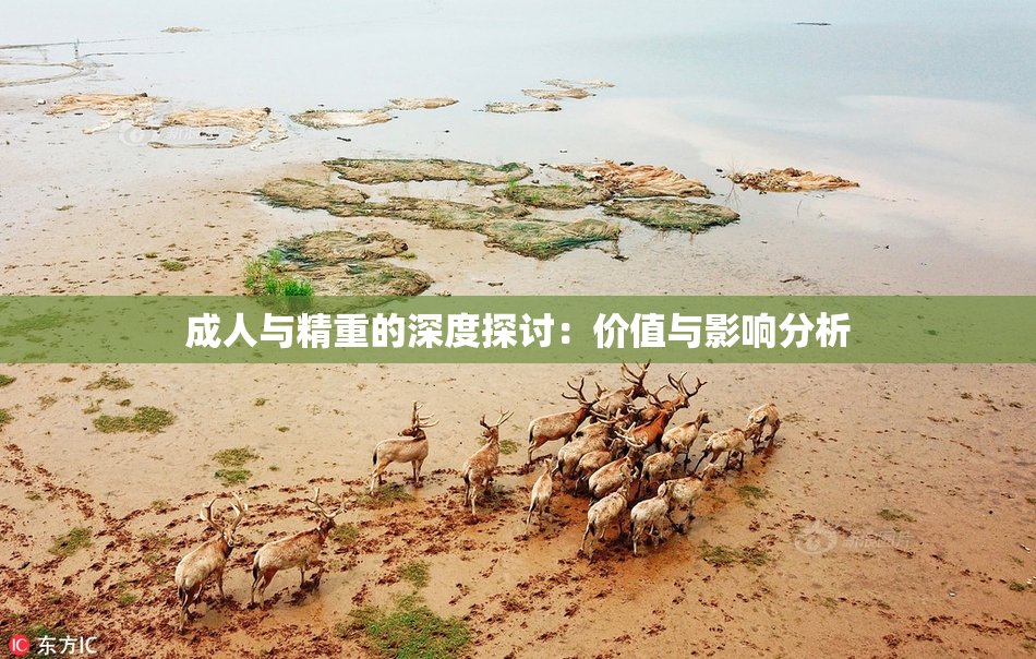 成人与精重的深度探讨：价值与影响分析