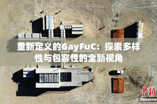 重新定义的GayFuC：探索多样性与包容性的全新视角