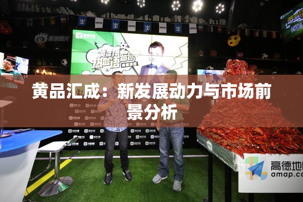黄品汇成：新发展动力与市场前景分析