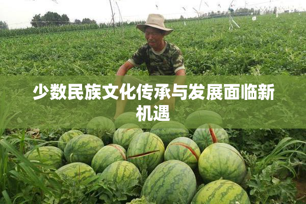 少数民族文化传承与发展面临新机遇