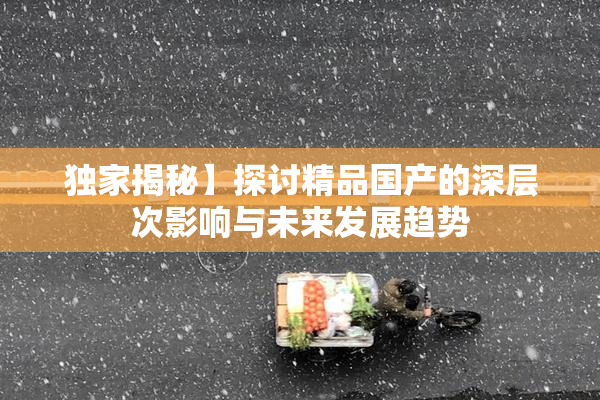 独家揭秘】探讨精品国产的深层次影响与未来发展趋势
