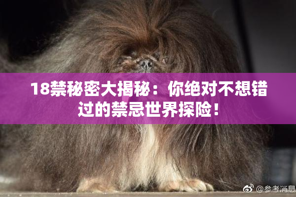 18禁秘密大揭秘：你绝对不想错过的禁忌世界探险！