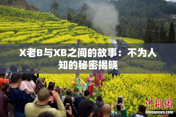 X老B与XB之间的故事：不为人知的秘密揭晓