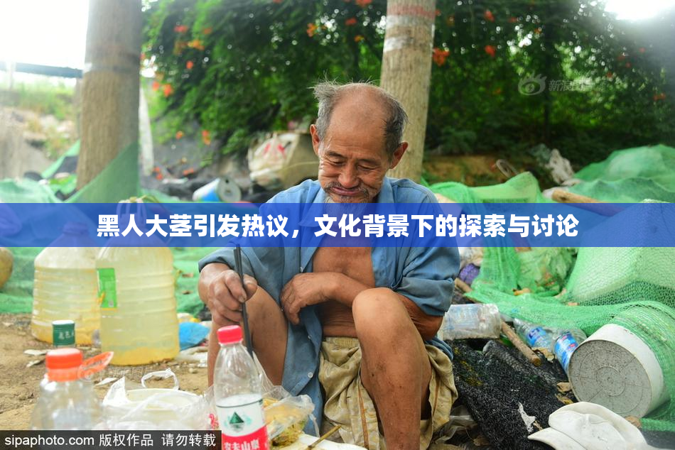 黑人大茎引发热议，文化背景下的探索与讨论