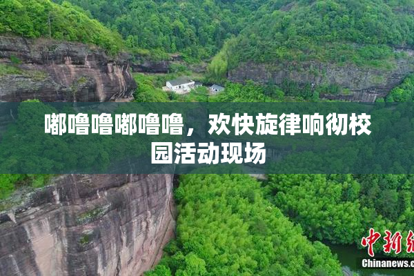 嘟噜噜嘟噜噜，欢快旋律响彻校园活动现场