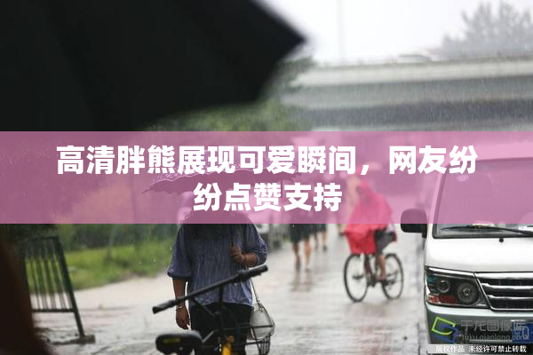 高清胖熊展现可爱瞬间，网友纷纷点赞支持