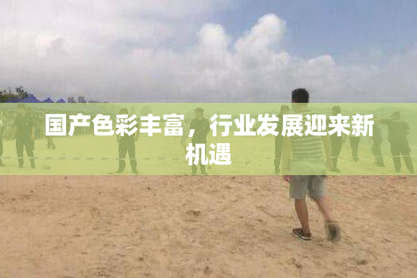 国产色彩丰富，行业发展迎来新机遇