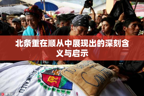 北条重在顺从中展现出的深刻含义与启示