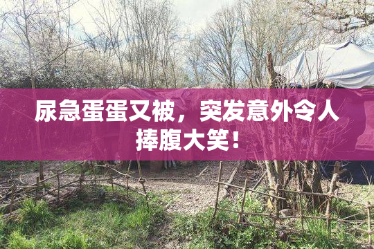 尿急蛋蛋又被，突发意外令人捧腹大笑！