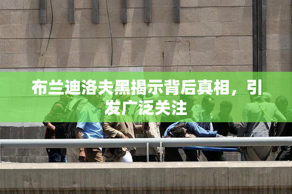布兰迪洛夫黑揭示背后真相，引发广泛关注