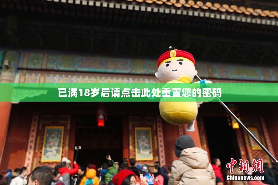 已满18岁后请点击此处重置您的密码