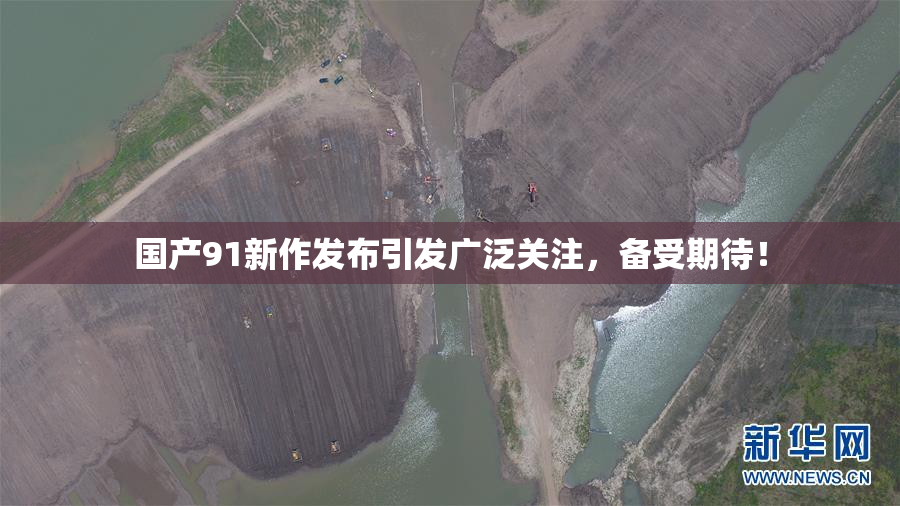 国产91新作发布引发广泛关注，备受期待！