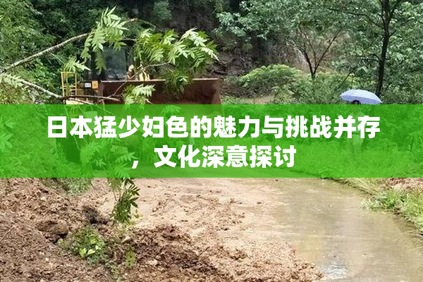 日本猛少妇色的魅力与挑战并存，文化深意探讨