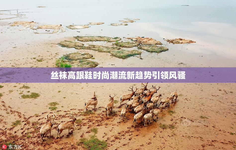 丝袜高跟鞋时尚潮流新趋势引领风骚