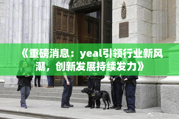《重磅消息：yeal引领行业新风潮，创新发展持续发力》