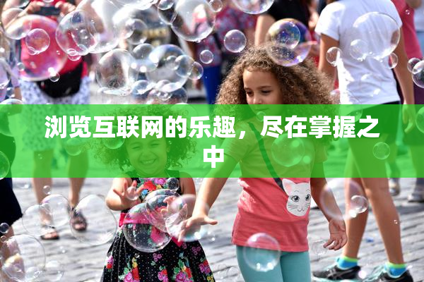浏览互联网的乐趣，尽在掌握之中