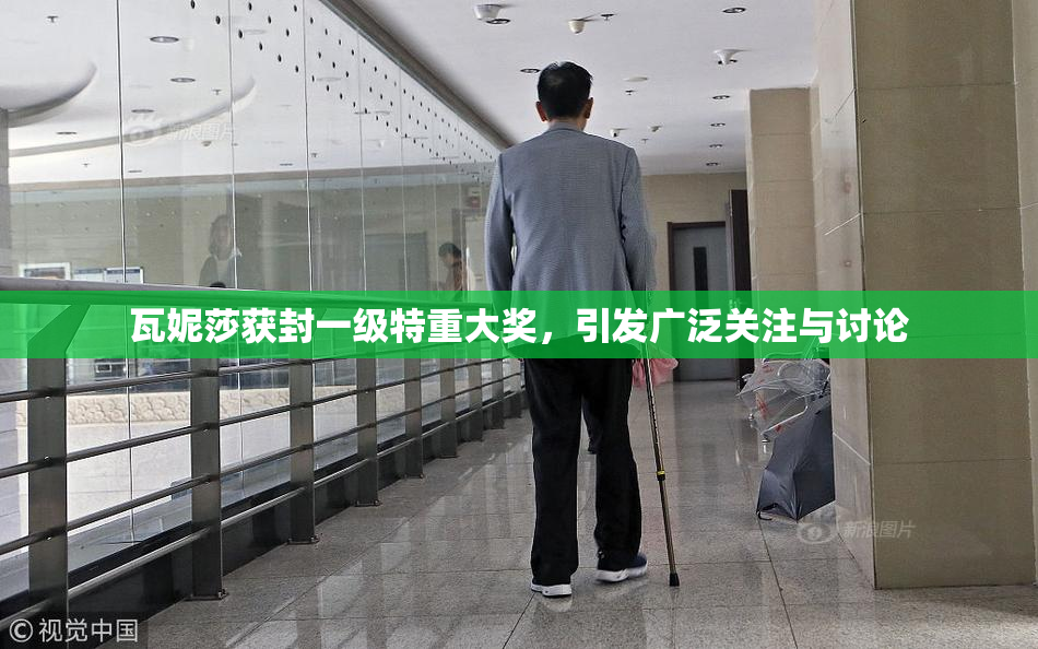 瓦妮莎获封一级特重大奖，引发广泛关注与讨论