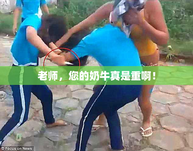 老师，您的奶牛真是重啊！