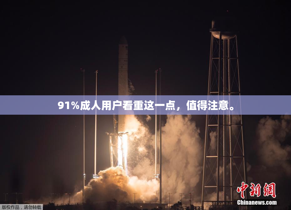 91%成人用户看重这一点，值得注意。
