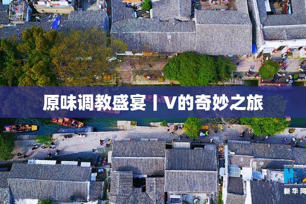 原味调教盛宴丨V的奇妙之旅