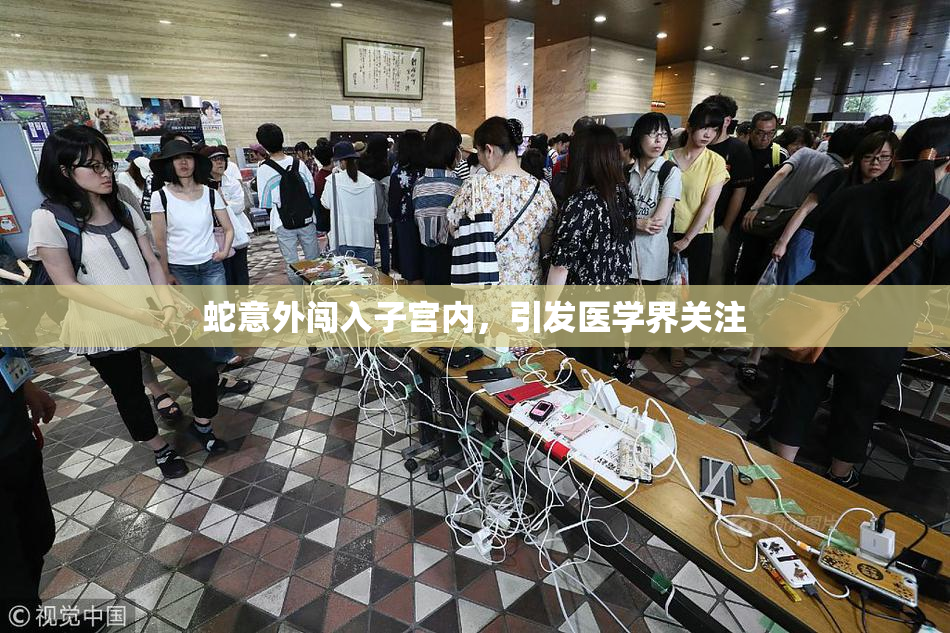 蛇意外闯入子宫内，引发医学界关注